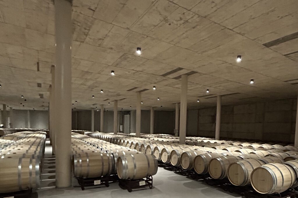 Wine barrels inside a winery during our Requena day trip
