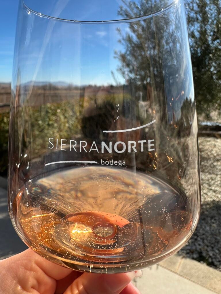 Wine tasting during our day trip to Requena from Valencia
